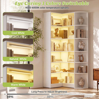 Corner Shelf with 6 Motion Sensor Lights